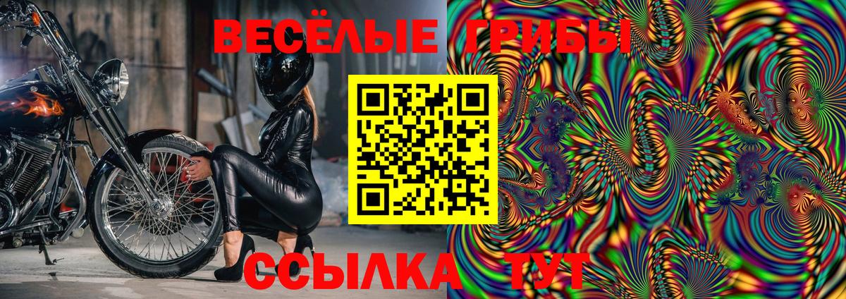 Псилоцибиновые грибы мицелий Грязи