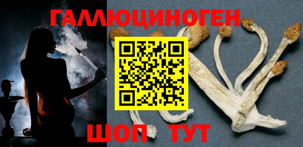 Псилоцибиновые грибы ЛСД  Вход с VPN  Грязи 